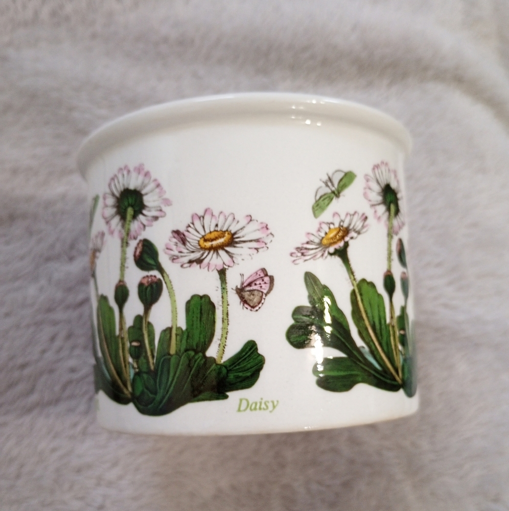 Vintage Portmeirion Botanic Garden Drum Open Sugar Bowl Daisy